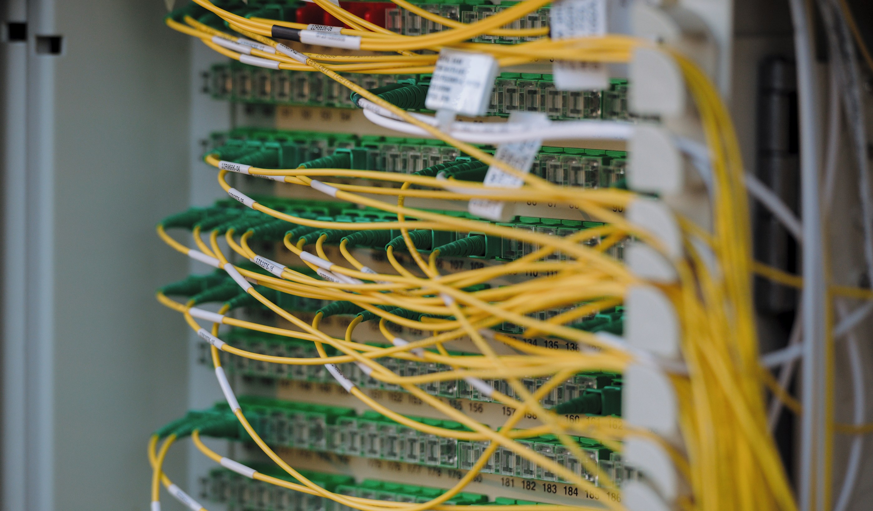 Yellow and green network cables neatly connected in a patch panel